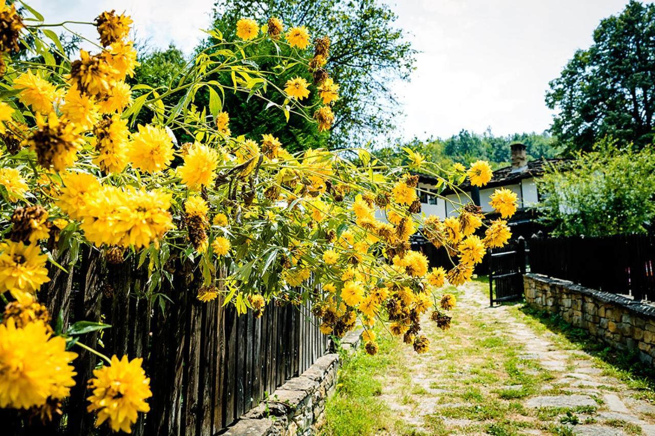 Strannopriemnitsa Guest House Bozhentsi Ngoại thất bức ảnh